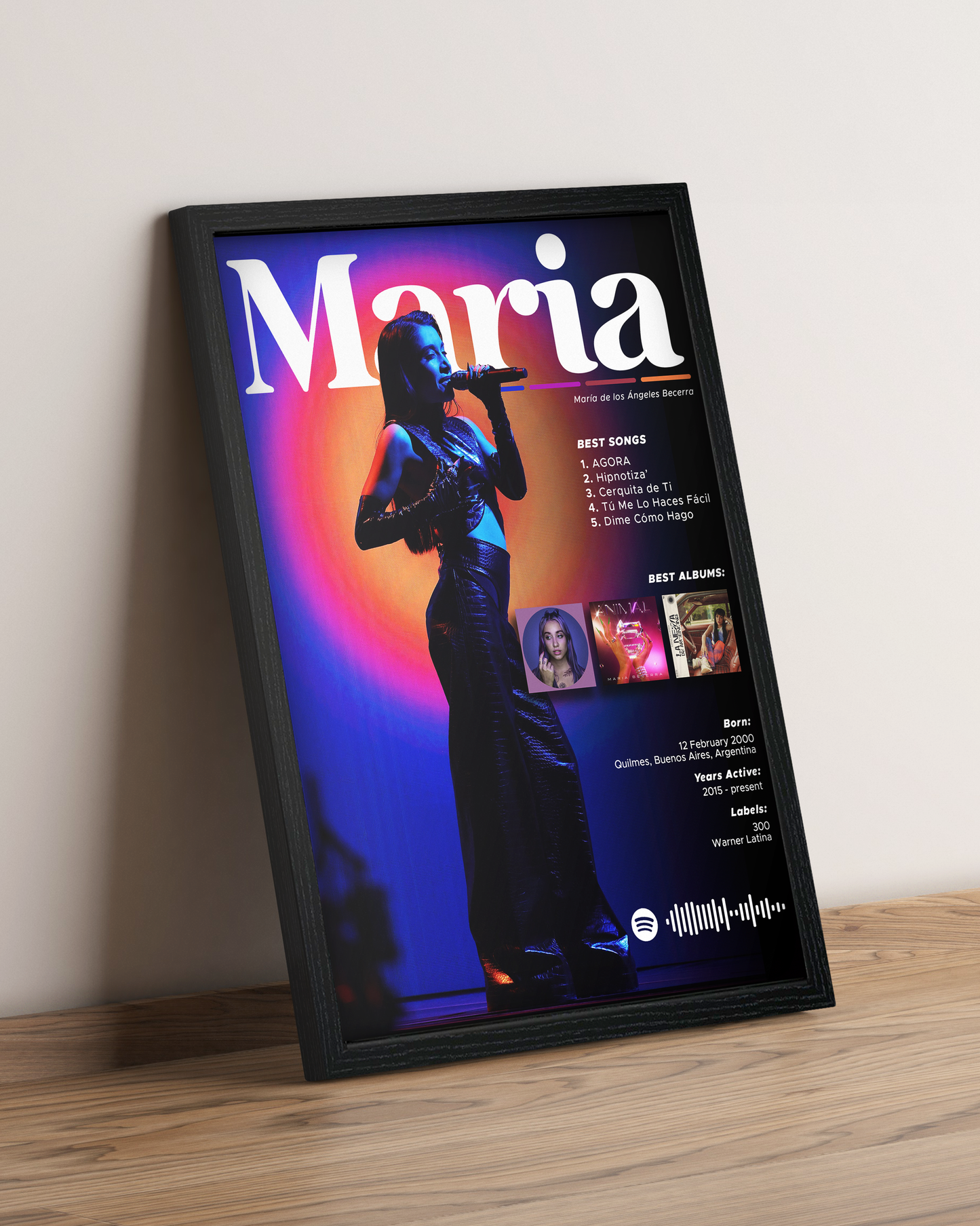 María Becerra - Cuadro Artista #5