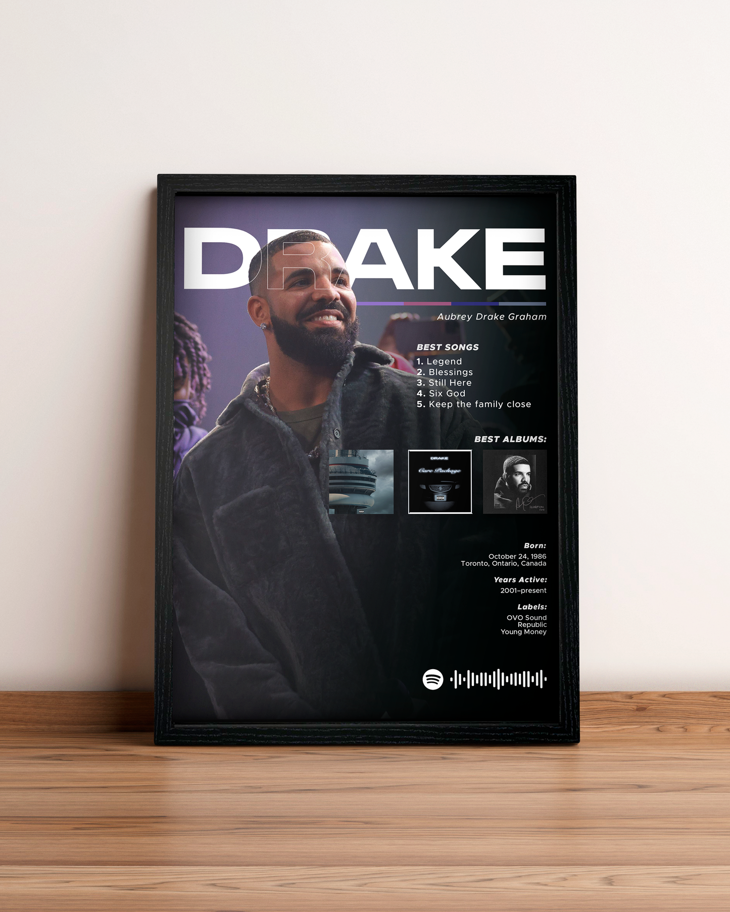 Drake - Cuadro Artista #3