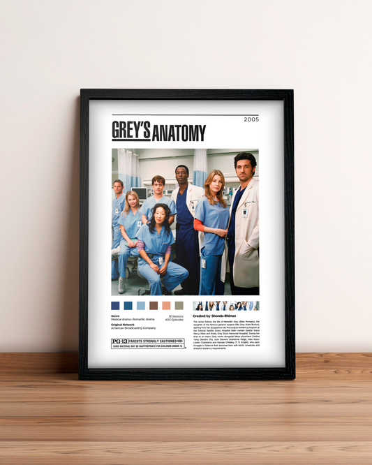 Grey's Anatomy - Cuadro Serie